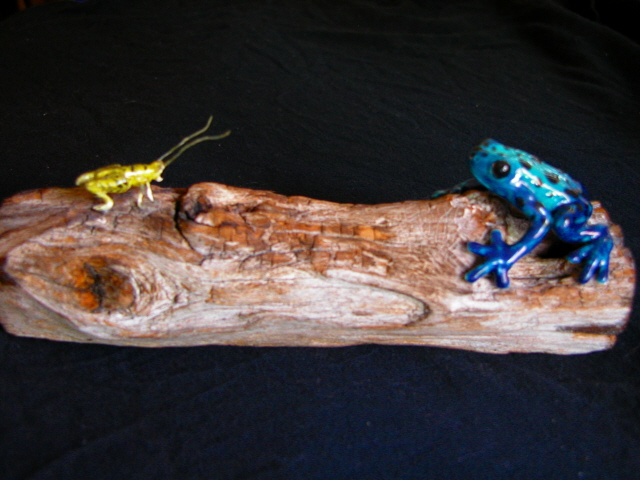 blue poison dart frog and lunch