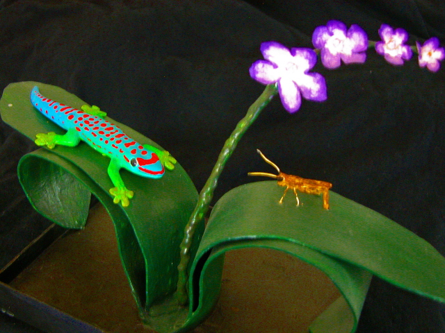 ph. cepediana and a big lunch