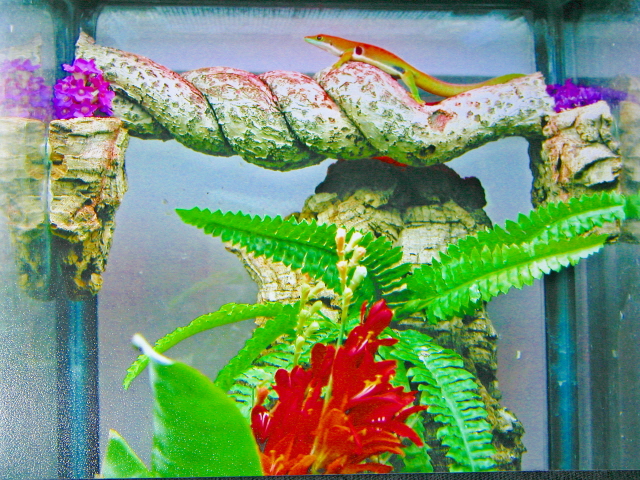 quad house closeup