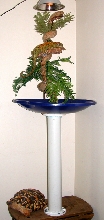 TREE  HOUSE