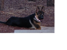Kiya at 5months