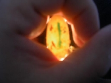 egg1