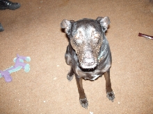 Ebony