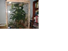 275 gallon terrarium