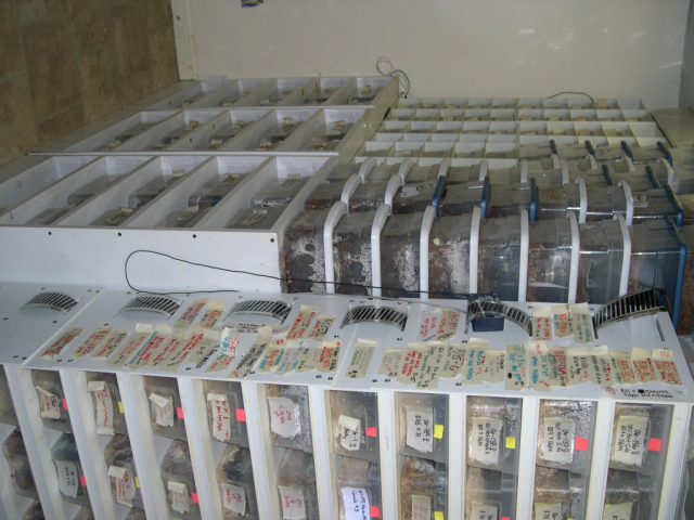 racks 3