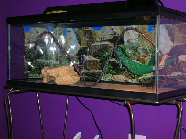 Layne's Tank
