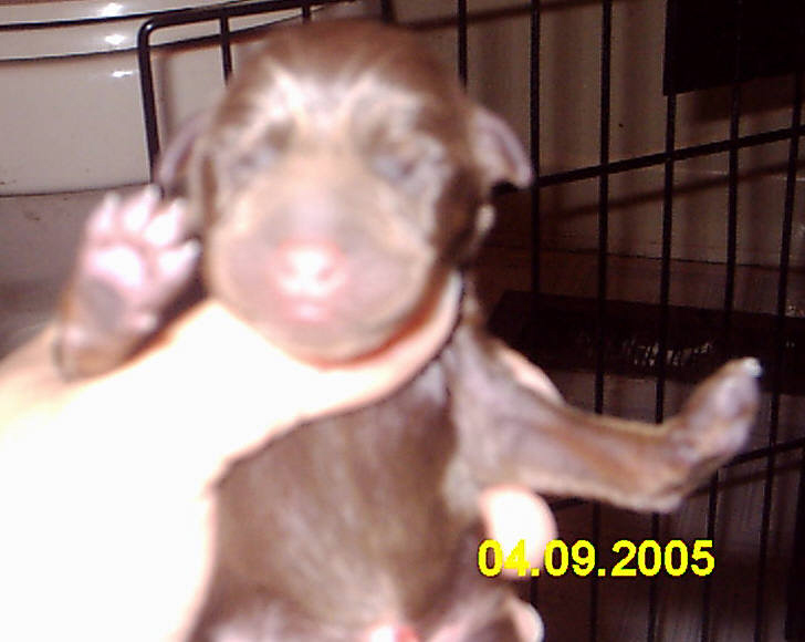 first pic after he was born