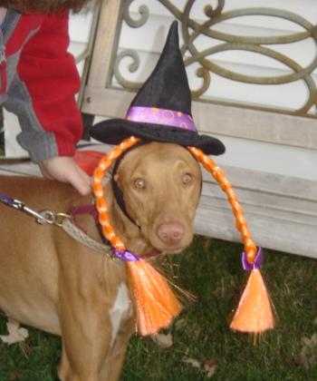 Portia - - Witch