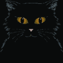 3blackcatsgif