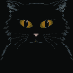 3blackcatsgif