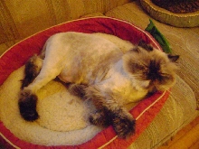 Sleepy now