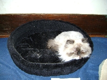 Jordi's bed