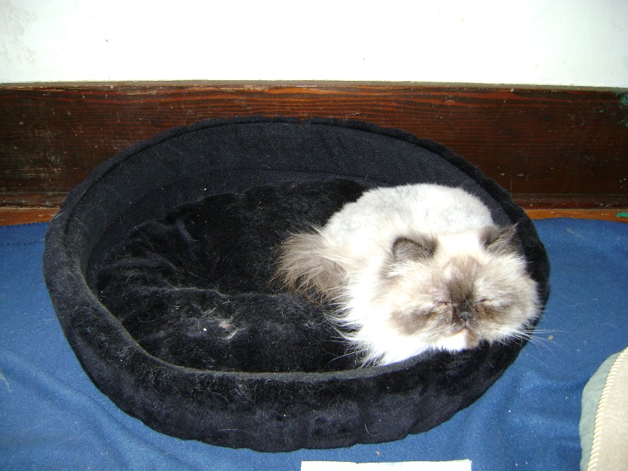 Jordi's bed
