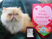 Happy Valentine's Day!