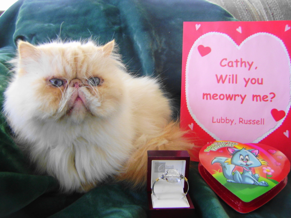 Happy Valentine's Day!