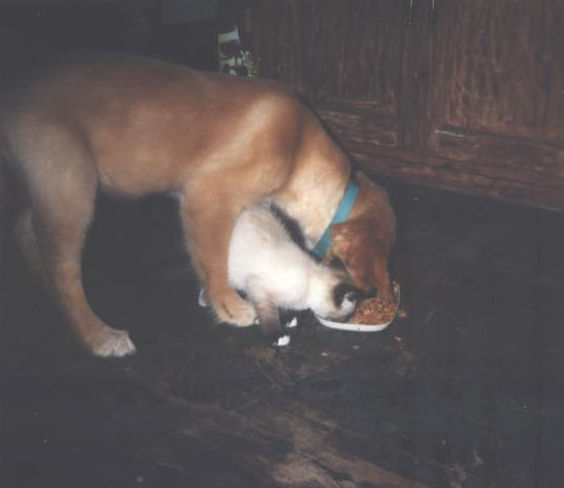 Baby Kaeli and Kelby