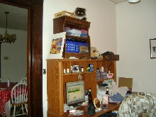 Can you find the cats?