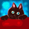 blackcatgif
