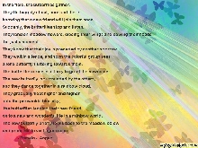 Butterflies