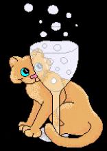catchampagnegif