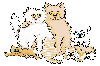 cat family