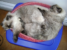 Snuggle Time