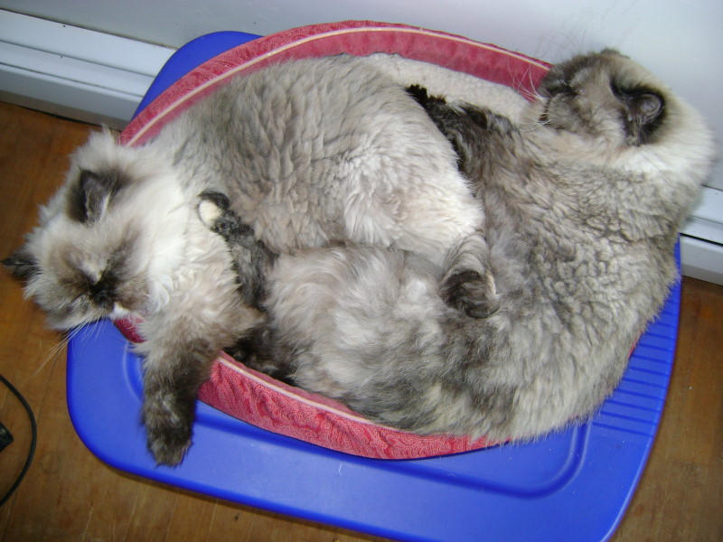 Snuggle Time