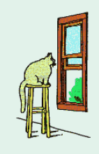 catwindowgif