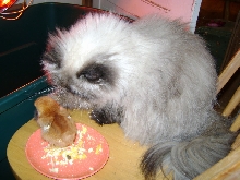 Get back on my plate ....
