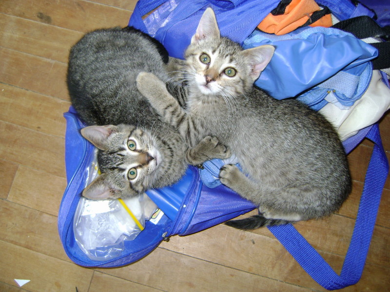 Linus and Lucy