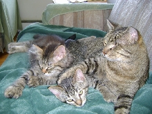 Larry with Charlie and Linus