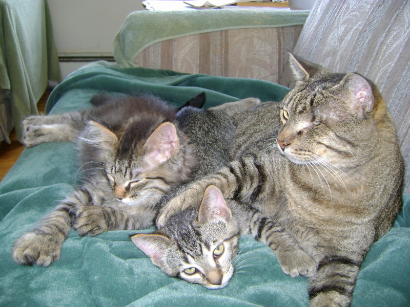 Larry with Charlie and Linus