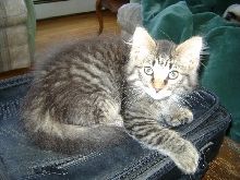 Charlie