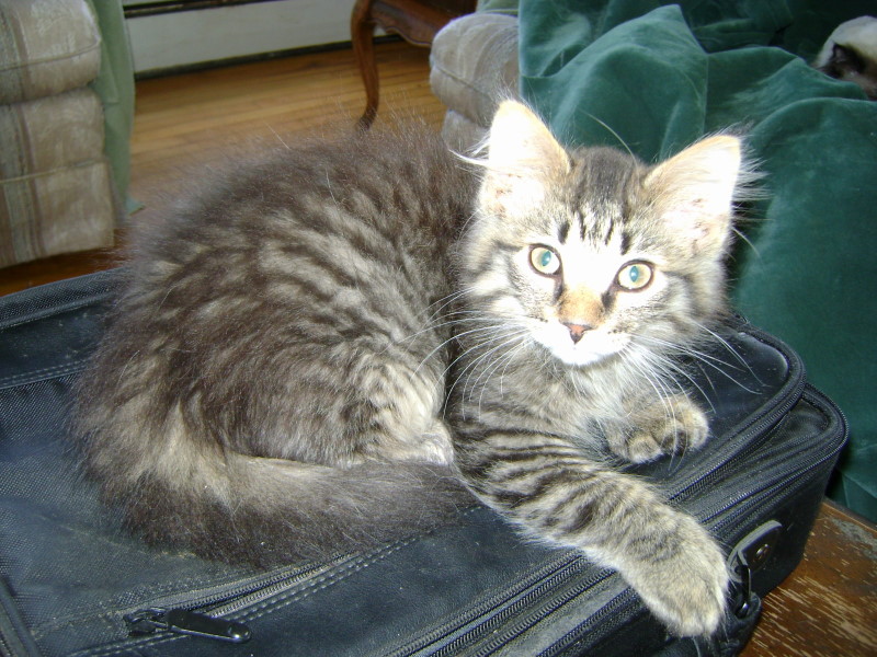 Charlie
