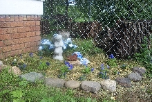 Nikki's Garden ...
