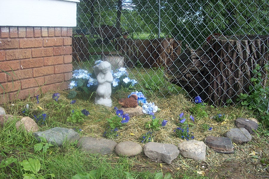 Nikki's Garden ...