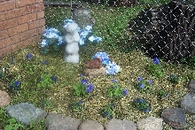 Nikki's Garden