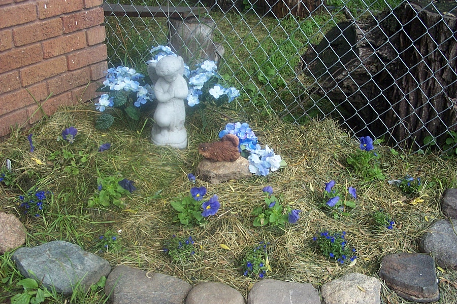 Nikki's Garden