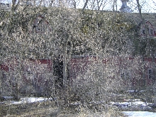 The Old Barn