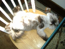 zzzzzzz