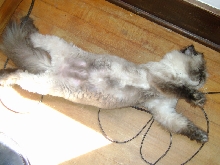 zzzzzz 2