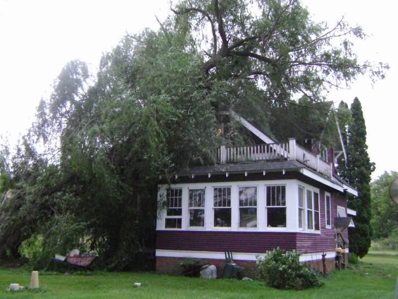 willow tree go boom