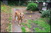 Ozzie the new guy