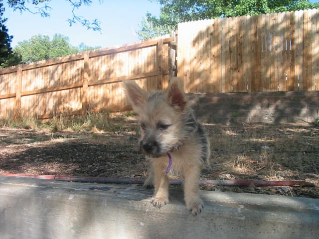 Chloe