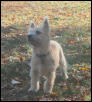 Chloe at 5 months