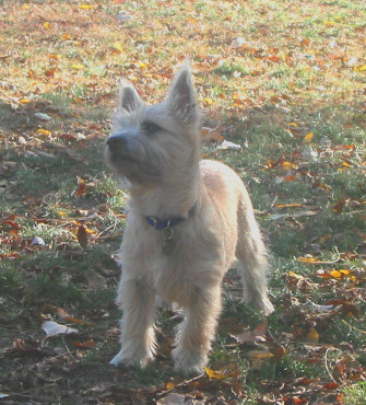 Chloe at 5 months