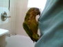 Mommy i don't want a bath today!!