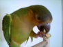 i love my spicy  food