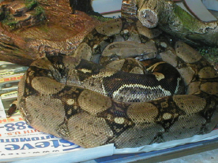 George