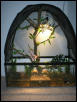 Pele's Vivarium